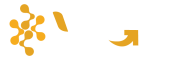 logo v2go mesa de trabajo 1