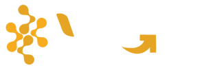 logo v2go mesa de trabajo 1